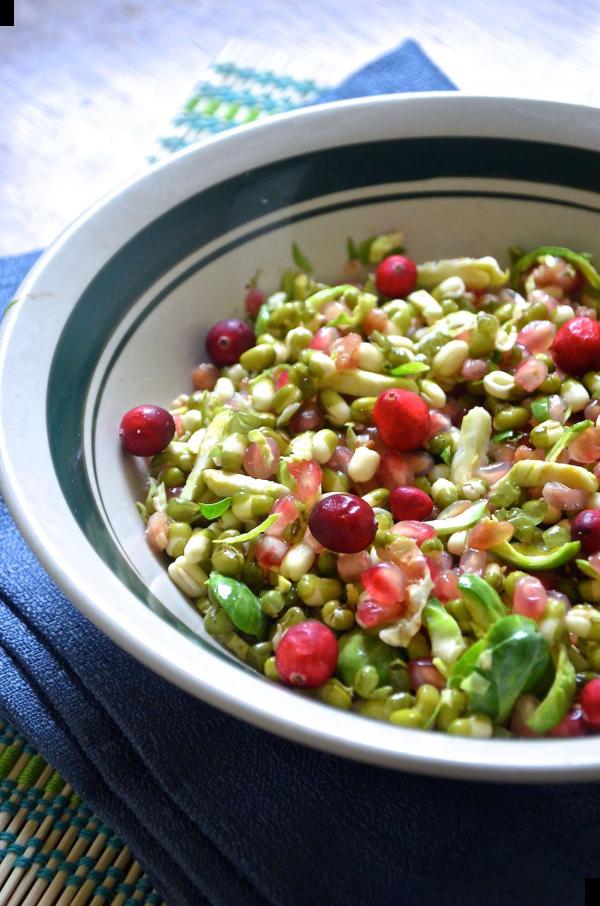 Mung Bean Sprouts Salad Recipe With Brussel Sprouts and Pomegranate